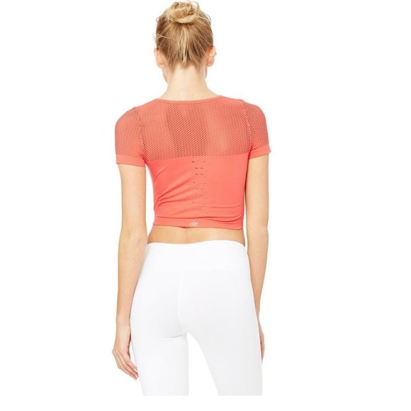 Alo Yoga Mesh Crop Top - Picture 3 of 3